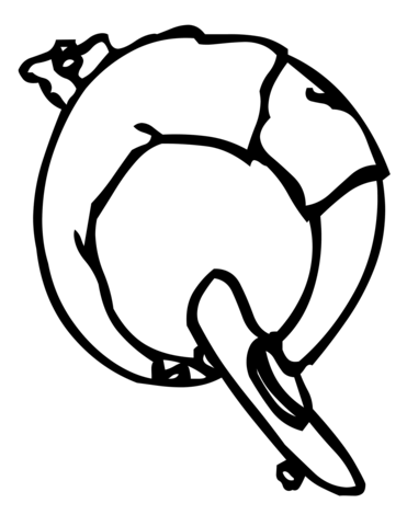 Skateboard Letter Q  Coloring Page